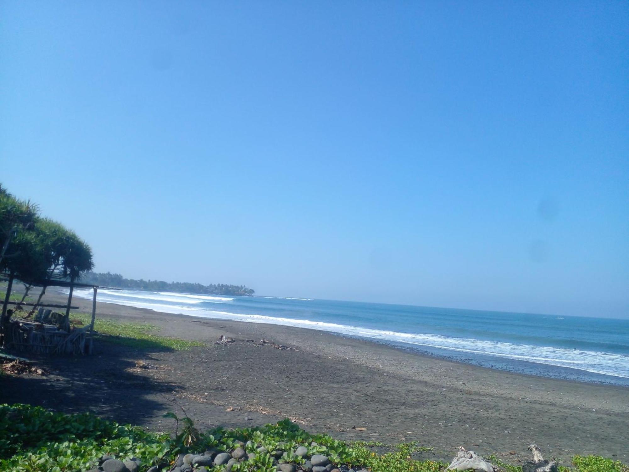 Medewi Good Vibes Stay&Surf Jembrana  Exterior photo